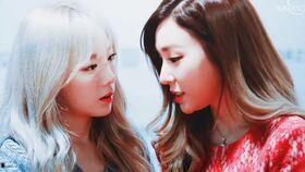 泰尼明星,闪耀舞台的璀璨星辰