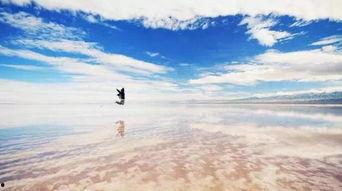 带你吃瓜天空之镜,带你领略绝美瓜地奇观