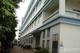 南宁头条西乡塘税务,共筑税收服务新篇章