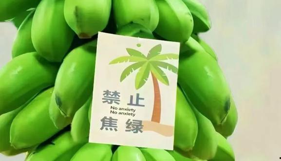 绿榕西路吃瓜视频,街头热辣现场直击