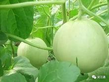 每天各种吃瓜,娱乐圈幕后故事大盘点