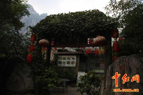 红网合金村,红网上的乡村振兴新篇章