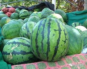 吃瓜群众选择老公,揭秘热门人选