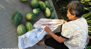 吃瓜被反赔300,法律意识需加强