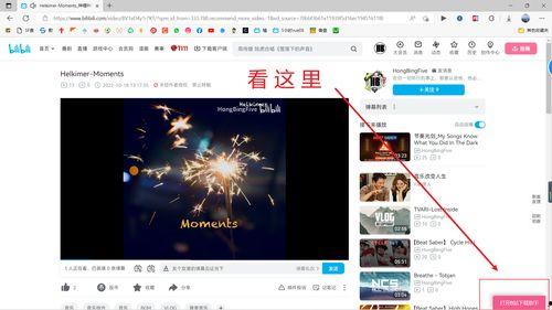 爆料娱乐圈教程视频下载,轻松学会热门下载技巧
