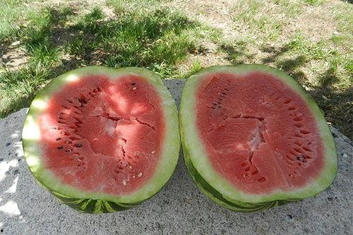 梦见自己抱着瓜在吃