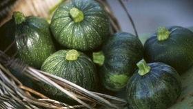 小圆瓜云南怎样吃,云南小圆瓜的多样食法探索