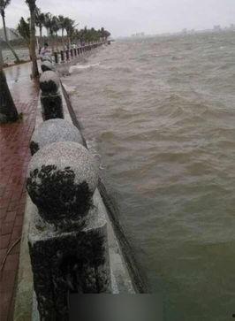 广东湛江新闻爆料,爆料的背后，揭开湛江发展新篇章