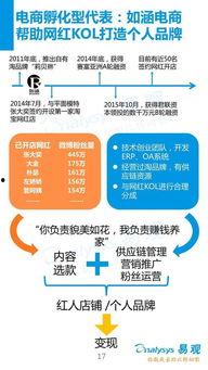 网红经济的变现渠道,揭秘多元化变现渠道