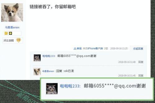 明星私密链接,一场意外的网络奇遇