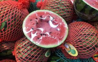 吃瓜群众良月,揭秘娱乐圈幕后故事