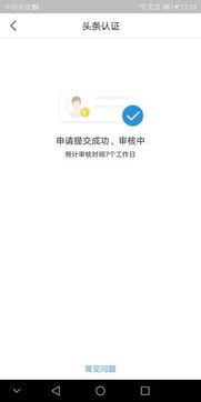 头条身份认证要几天