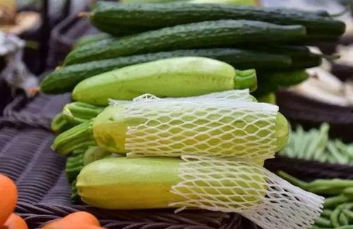 广油西城校区吃瓜,校园“瓜田”里的那些事儿