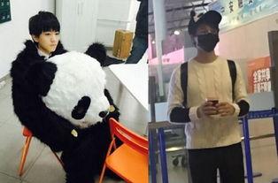 明星穿熊猫,熊猫元素演绎潮流风采