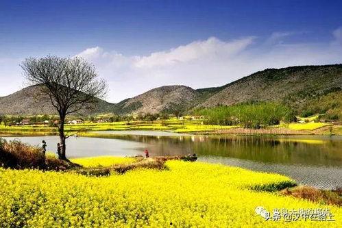 今日头条汉中的春天美景,赏花踏青正当时”