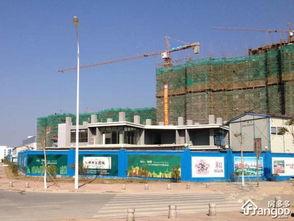 厦门中央公园新闻头条,打造城市绿肺新地标