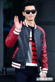 马 韩国明星,闪耀星途的璀璨之星”