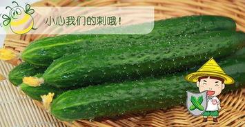 吃瓜群什么套路最深,最深的套路，最热的瓜皮