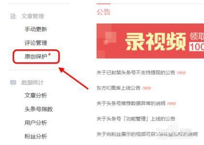 头条号和作家号的区别,内容平台差异解析
