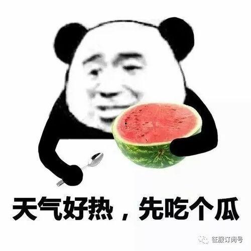 娱乐吃瓜酱心动心安,心动与心安的甜蜜碰撞