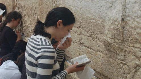 娱乐圈吃瓜人小说