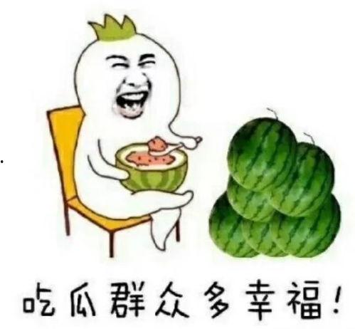 娱乐吃瓜自我介绍